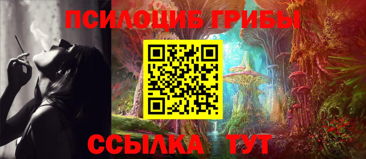 Псилоцибиновые грибы MAGIC MUSHROOMS  Вход с VPN  Верхняя Пышма 