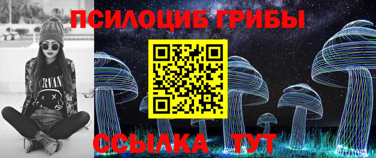 Псилоцибиновые грибы GOLDEN TEACHER Верхняя Пышма